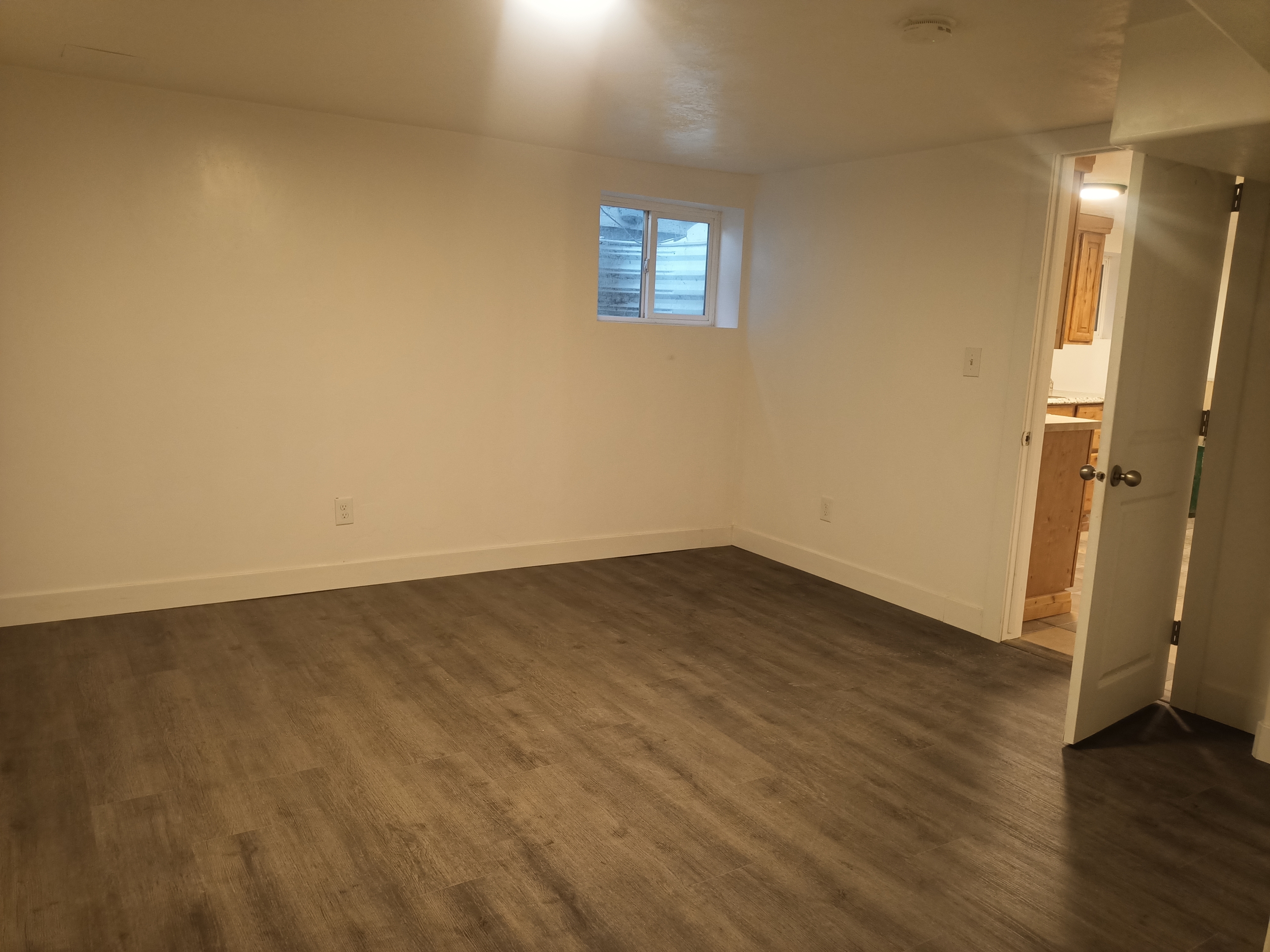 712 1/2 4th Avenue - Basement