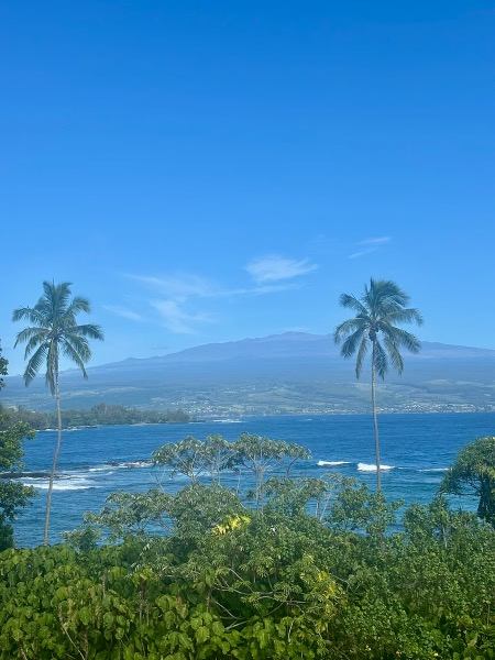 2405 Kalanianaole Street - 406
